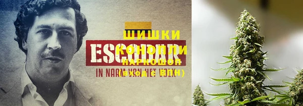 тгк Пролетарск